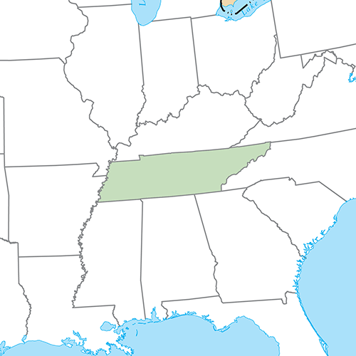 US Staaten answer: TENNESSEE