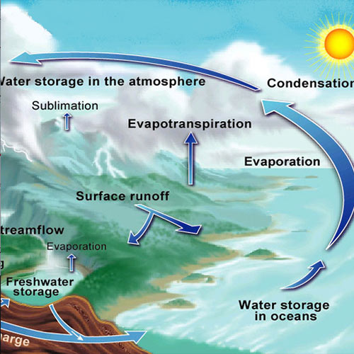 Wissenschaft answer: WATER CYCLE