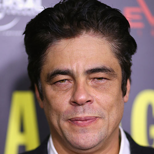 Actors answer: BENICIO DEL TORO