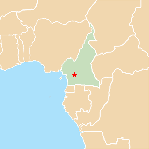 Capital Cities answer: YAOUNDE