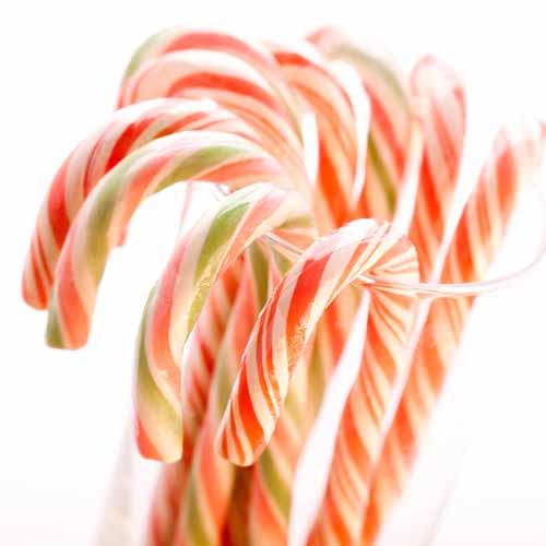 Christmas answer: CANDY CANE