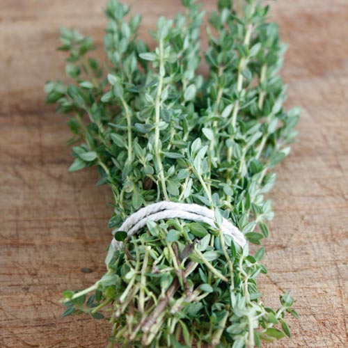 Cooking answer: THYME