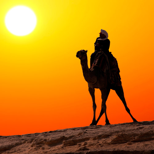 Experiences answer: RIDE A CAMEL