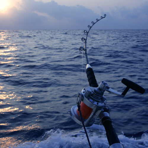 Experiences answer: DEEP SEA FISHING