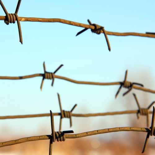 Halloween answer: BARBED WIRE