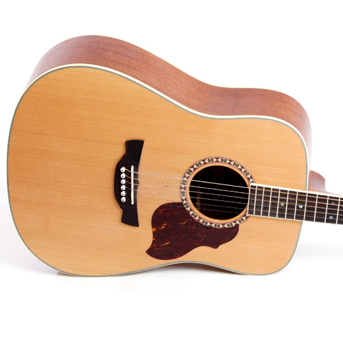 Instruments answer: ACOUSTIC GUITAR