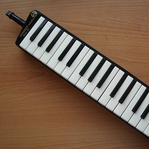 Instruments answer: MELODICA
