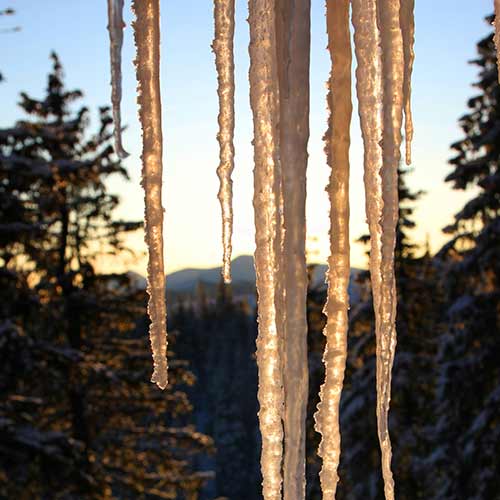 Nature answer: ICICLES