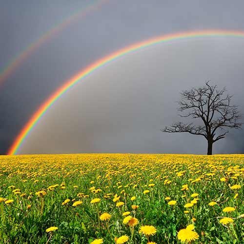 Nature answer: DOUBLE RAINBOW