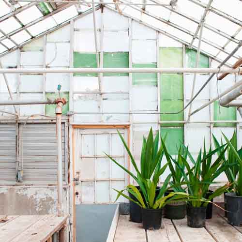 On The Farm answer: GREENHOUSE