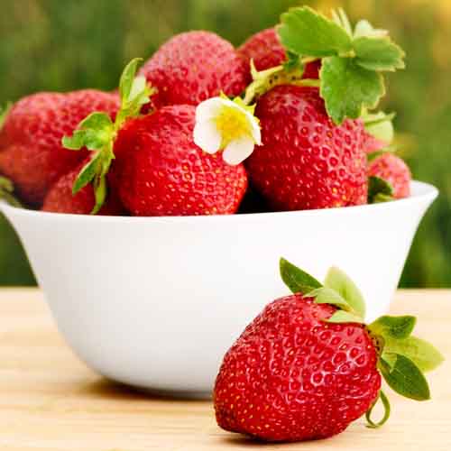 On The Farm answer: STRAWBERRIES