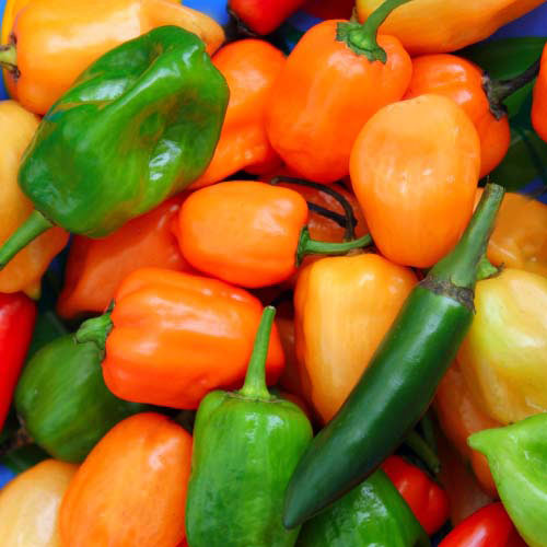Taste Test answer: PEPPERS