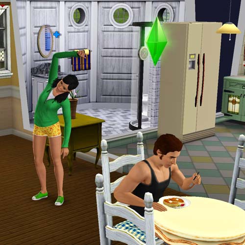 Video Games answer: THE SIMS