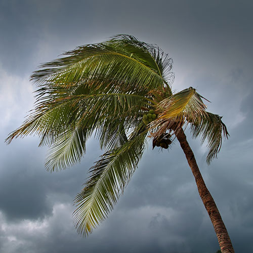 Weather answer: TROPICAL STORM