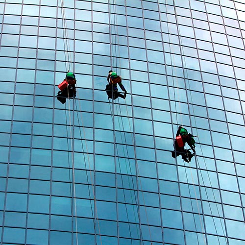 What Job? answer: WINDOW CLEANER