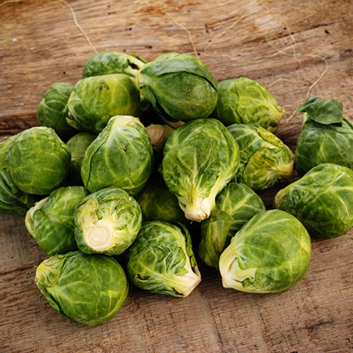 Winter answer: BRUSSEL SPROUTS