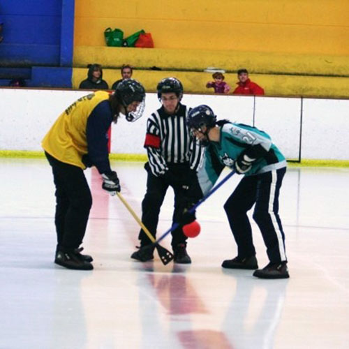Winter Sports answer: FACE-OFF