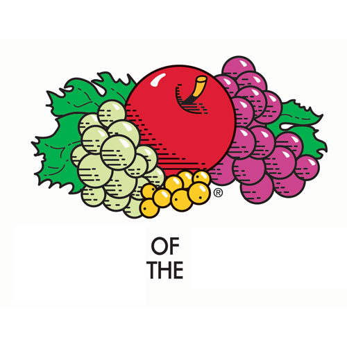 Logotipos answer: FRUIT OF THE LOOM