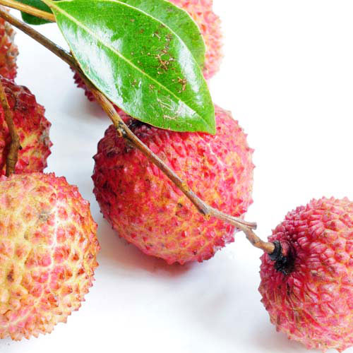 Nourriture answer: LITCHIS