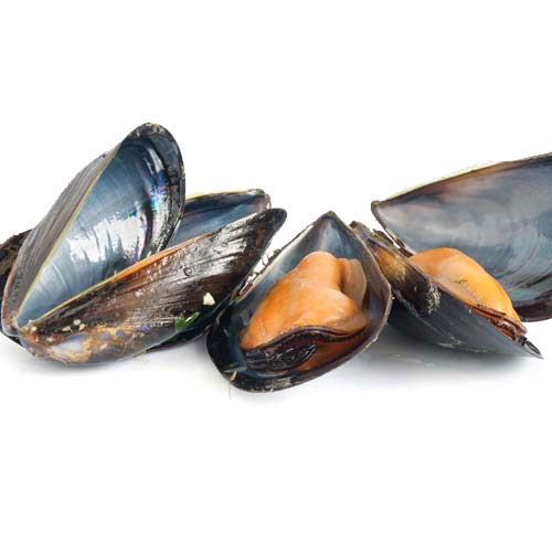 Nourriture answer: MOULES