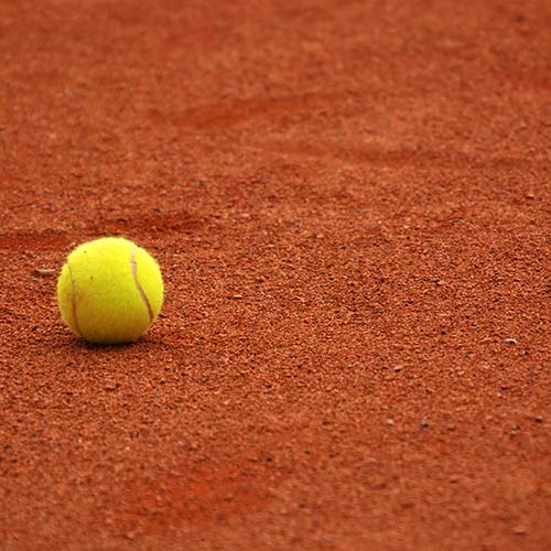Tennis answer: TERRA BATTUTA