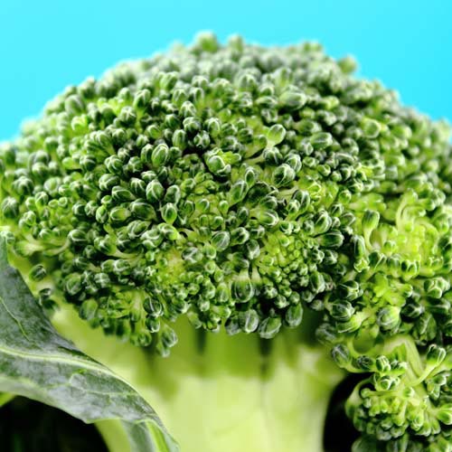 B is for... answer: BROCCOLI
