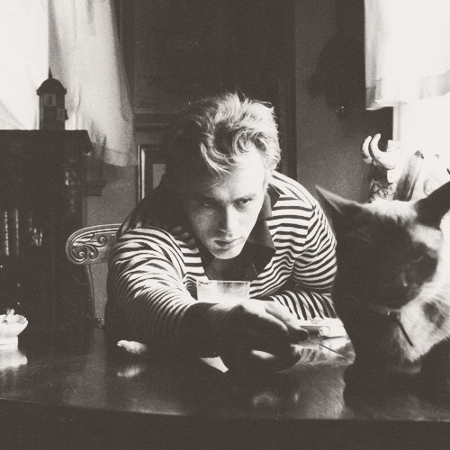 Cat Lovers answer: JAMES DEAN