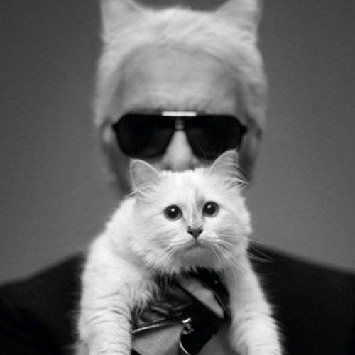 Cat Lovers answer: KARL LAGERFELD