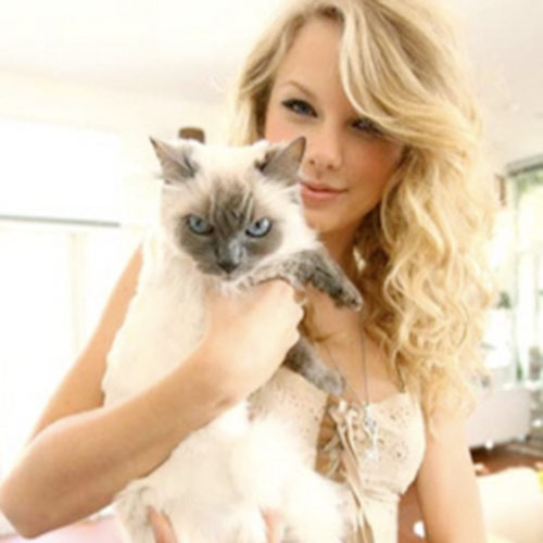 Cat Lovers answer: TAYLOR SWIFT