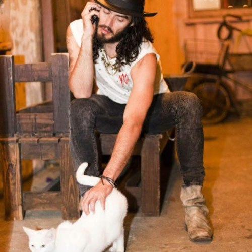 Cat Lovers answer: RUSSELL BRAND