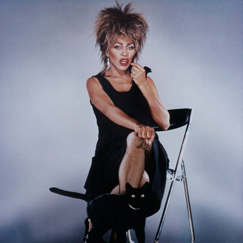 Cat Lovers answer: TINA TURNER