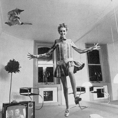 Cat Lovers answer: TWIGGY