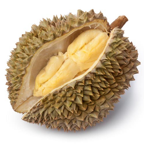 D is for... answer: DURIAN