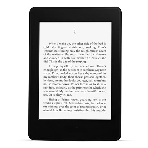 Gadgets answer: KINDLE