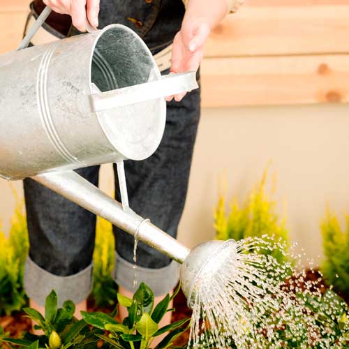 Gardening answer: WATERING CAN