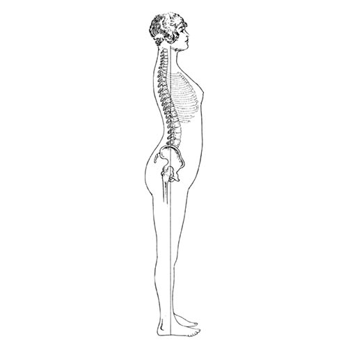 L is for... answer: LORDOSIS