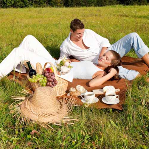 Party answer: PICNIC