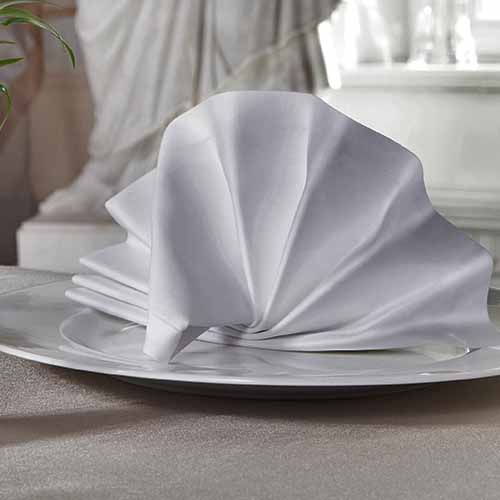 Party answer: NAPKINS