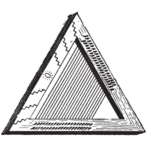P is for... answer: PSALTERY