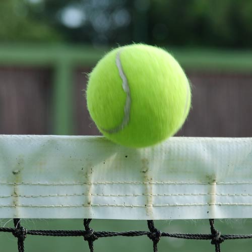 Tennis answer: NETZROLLER