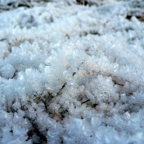 Wetter answer: FROST