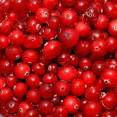 Winter answer: CRANBERRIES