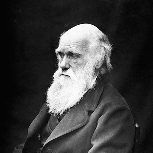 Wissenschaft answer: CHARLES DARWIN
