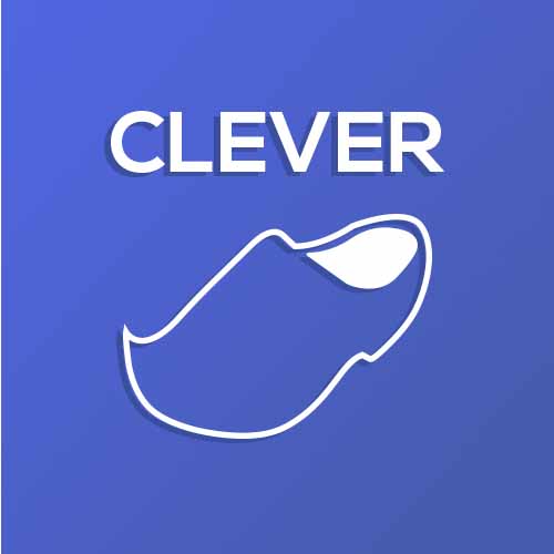 Catchphrases 2 answer: CLEVER CLOGS