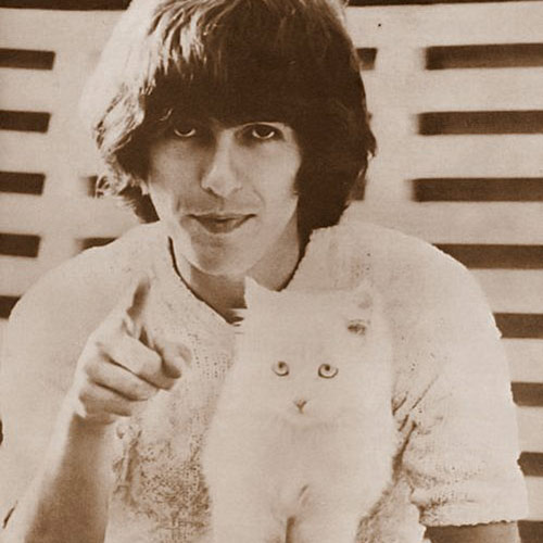 Cat Lovers answer: GEORGE HARRISON