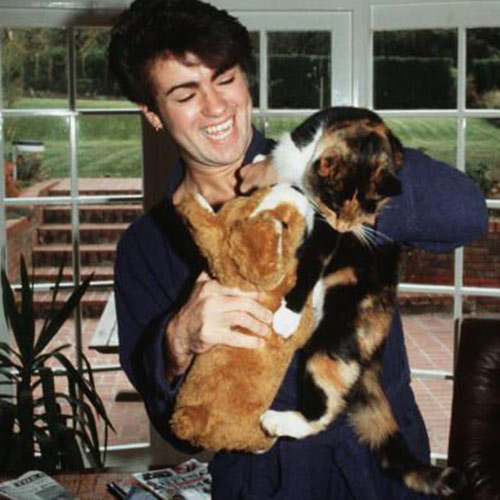Cat Lovers answer: GEORGE MICHAEL