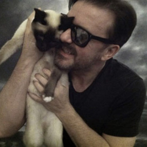 Cat Lovers answer: RICKY GERVAIS