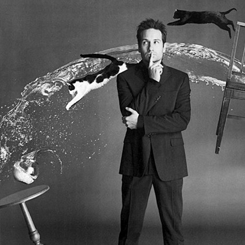 Cat Lovers answer: DAVID DUCHOVNY