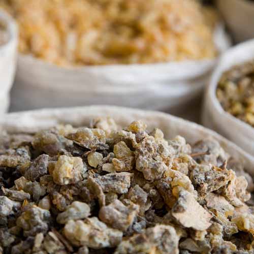 Christmas answer: FRANKINCENSE