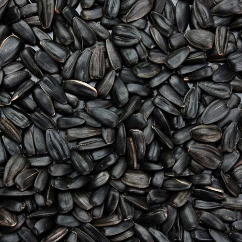 Cooking answer: SUNFLOWER SEEDS